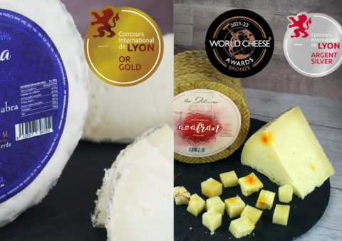 WORLD’S BEST PRODUCTS COMPETION LYON, FRANCIA